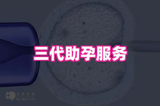 美国助孕网展示图1